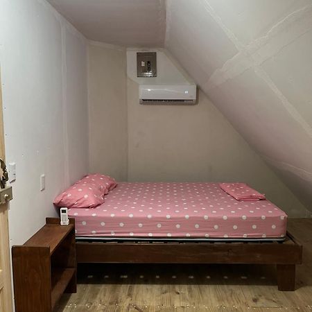 Hostel Tuanis Surf Camp Playa Santa Teresa  エクステリア 写真