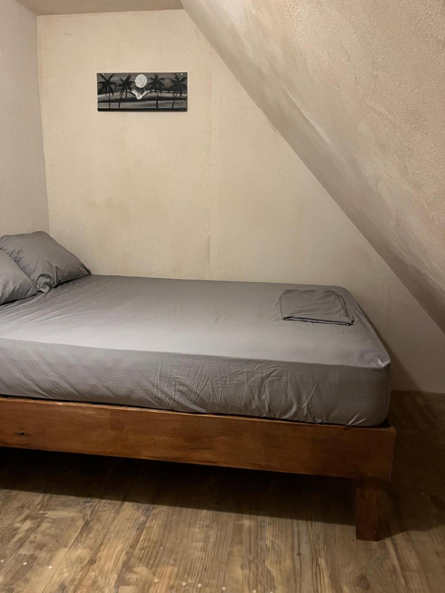 Hostel Tuanis Surf Camp Playa Santa Teresa  エクステリア 写真